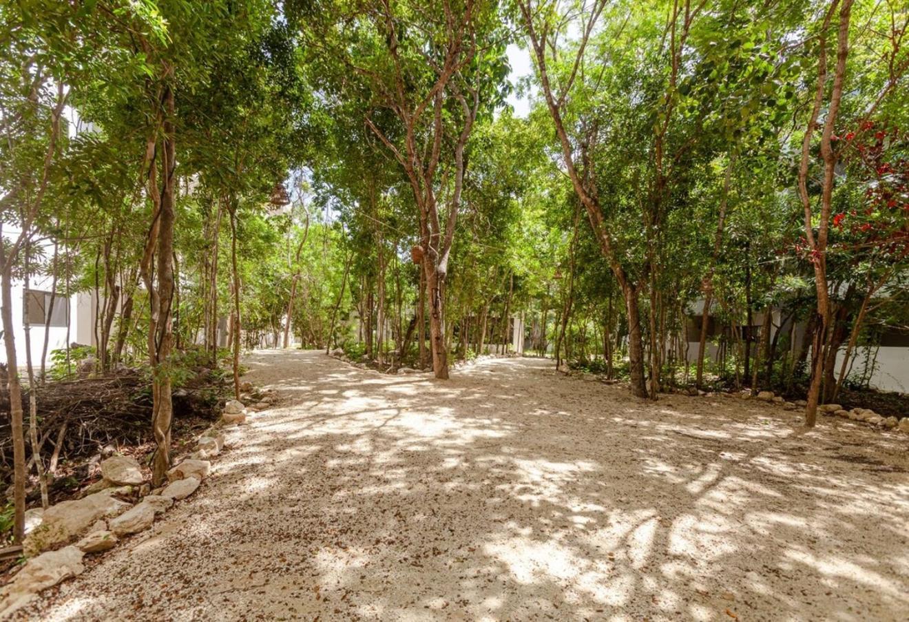 Apartamento New! Lafrida Style 10 Min To Caribbean! *
